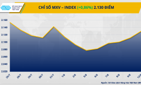 Trung Đông ‘nóng lên’, dòng tiền đầu tư chảy mạnh vào thị trường dầu và kim loại quý
