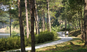 Thanh Xuan Valley và những điểm chạm chăm sóc sức khỏe giữa triệu tán thông 50 năm