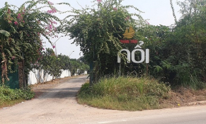  Tả Thanh Oai (Thanh Trì): Thực trạng nhà xưởng, sân bóng xây dựng trên đất nông nghiệp