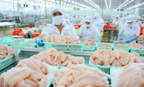 Xuất khẩu cá tra Việt Nam: Tăng trưởng mạnh mẽ và đối mặt với nhiều thách thức