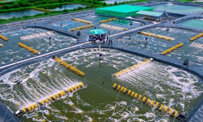 Nông nghiệp Bạc Liêu tăng trưởng ấn tượng trong năm 2024