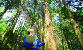 Chuyển động thị trường tài chính ngày 25/11: Thành viên BCG thúc đẩy các dự án tín chỉ carbon 