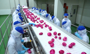 Xu hướng thị trường và cơ hội xuất khẩu nông sản, thực phẩm chế biến Việt Nam