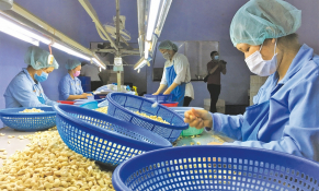 Doanh nghiệp thích ứng các tiêu chuẩn xanh 
