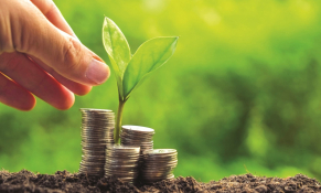 Giải pháp trọng tâm đẩy mạnh tăng trưởng xanh giai đoạn 2021 - 2030, tầm nhìn 2050