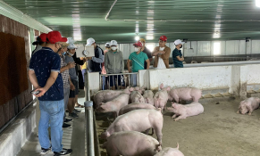 Hoàng Anh Gia Lai trả gốc 200 tỷ đồng trái phiếu, giá cổ phiếu tăng mạnh