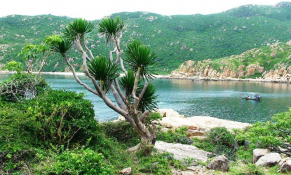 BIM Group cần sử dụng gần 12 ha rừng thuộc vườn Quốc gia Núi Chúa làm dự án tại Ninh Thuận