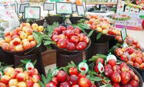 Rộn ràng mua sắm tại Lễ hội Táo Washington Siêu thị BRGMart 2023