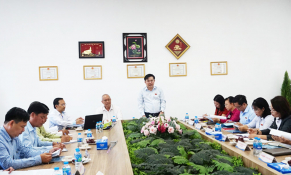 Cần Đước (Long An): Nhiều dự án khu, cụm công nghiệp khó khăn trong việc thu hồi đất xây dựng hạ tầng