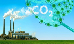 Phát triển thị trường carbon - Đường lớn đã mở