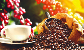 Cà phê Việt thăng hoa giữa cơn khát nguồn cung toàn cầu