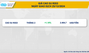 Cao su giao dịch sôi động trong ngày thị trường nghỉ lễ Giáng sinh