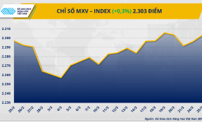 Giá đồng COMEX lên mức kỷ lục chưa từng có, giá đậu tương tiếp tục giảm