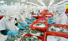 Nhiều lãnh đạo doanh nghiệp thuỷ sản bị các tổ chức tín dụng đen quấy nhiễu, đe doạ