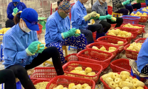 Luật Thuế thu nhập doanh nghiệp: Chắp cánh đổi mới 