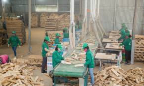 Hút kinh tế tư nhân đầu tư vào tăng trưởng xanh