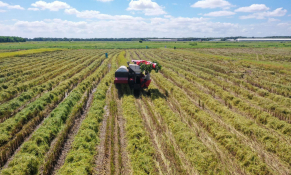 Miễn thuế sử dụng đất nông nghiệp đến hết năm 2030