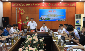 Lạng Sơn đẩy mạnh quảng bá, tiêu thụ sản phẩm na Chi Lăng