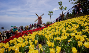 Đà Nẵng, Phú Quốc, Tây Ninh dự báo đông khách dịp Tết Ất Tỵ