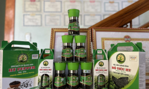 Biến hạt tiêu đen Sen Thủy trở thành sản phẩm nông nghiệp tiềm năng