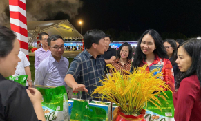 Thương mại điện tử xuyên biên giới: Đòn bẩy xuất khẩu bền vững