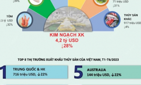 Lũy kế 6 tháng đầu năm 2023, kim ngạch xuất khẩu thủy sản giảm 28%