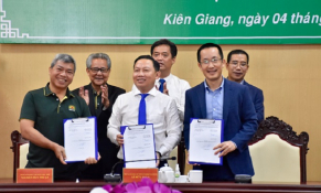 Kiên Giang: Hợp tác phát triển vùng lúa gạo chất lượng cao 