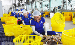 Nghị quyết 68 - Tầm nhìn chiến lược, hợp lực kiến tạo tương lai