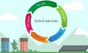 Thúc đẩy giải pháp phát triển kinh tế tuần hoàn