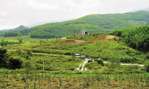 Nông dân Khánh Hòa phát triển nông nghiệp số, nông nghiệp xanh