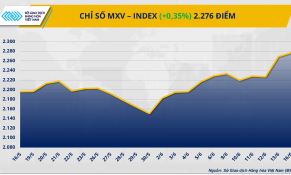 Thị trường hàng hóa nguyên liệu thế giới tiếp tục biến động