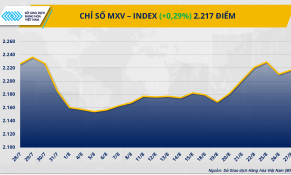 Cung - cầu trái chiều chi phối diễn biến thị trường hàng hóa