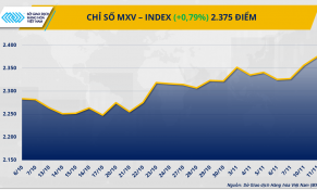 Ca-cao rớt giá, ngô phục hồi nhẹ 