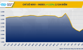 Thị trường hàng hóa thế giới quay đầu khởi sắc sau tin Mỹ hoãn áp thuế