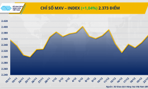Dòng tiền quay lại thị trường hàng hóa, MXV-Index tăng hơn 1%
