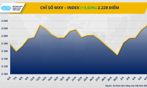 Dòng tiền đầu tư quay lại thị trường hàng hóa nguyên liệu thế giới