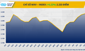 Giá kim loại quý thiết lập đỉnh mới, giá cà phê đảo chiều phục hồi