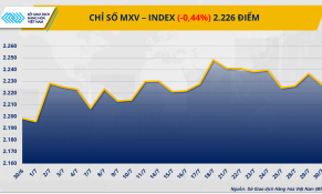 Mỹ áp thuế 50% lên Brazil, MXV-Index mất đà giảm xuống 2.226 điểm