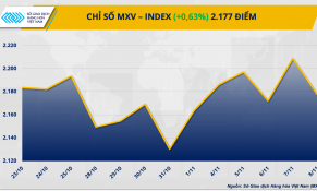 Dòng tiền đầu tư dịch chuyển sang thị trường hàng hóa sinh lời cao