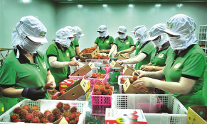 Giảm gánh nặng tài chính cho doanh nghiệp nông sản