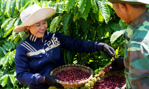 Nestlé Việt Nam cùng đối tác thúc đẩy sáng kiến giảm phát thải trong chuỗi cung ứng