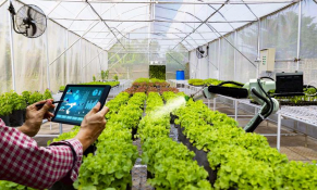 Chìa khóa phát triển bền vững ngành nông nghiệp