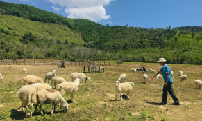 Israel thực hiện chính sách mới trong lĩnh vực nông nghiệp