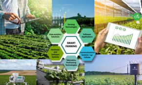 Thúc đẩy số hóa nông nghiệp sẽ giúp “đưa chợ về vườn”, đưa thị trường về đến tận ao cá, vườn cây