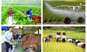 Tổng điều tra nông thôn, nông nghiệp năm 2025 