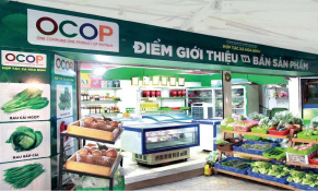 Mở cánh cửa thị trường quốc tế cho OCOP Việt