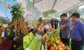 Bắc Giang: Hơn 300 sản phẩm OCOP tham gia đánh giá phân hạng