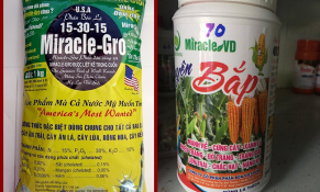 Thị trường phân bón: Bát nháo các kiểu ăn theo, nhái các sản phẩm thương hiệu tên tuổi