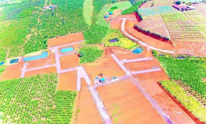 Lâm Đồng: Tạm dừng phân lô tách thửa