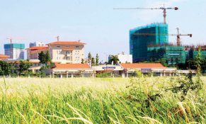 Sẽ lấy ý kiến sửa đổi Quyết định 60 về tách thửa ngay trong tháng 10/2020